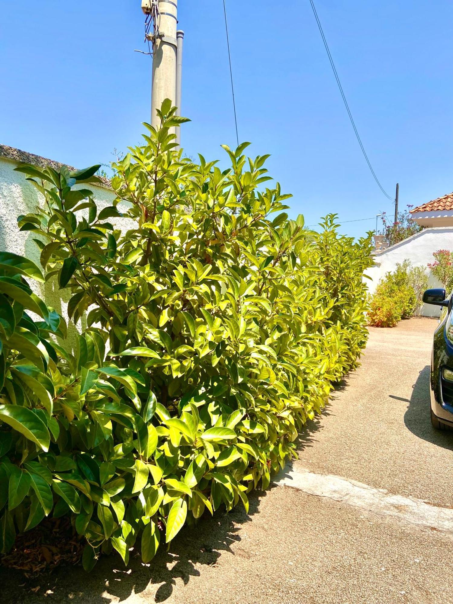 B&B Costa Azzurra Porto Cesareo Bagian luar foto